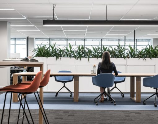 XTA 3 0 Beam workplace Optus Head Office Perth WA 1 XTA 3 0 Beam workplace Optus Head Office Perth WA 1