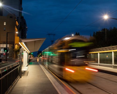 Adelaide Trams IMG 3