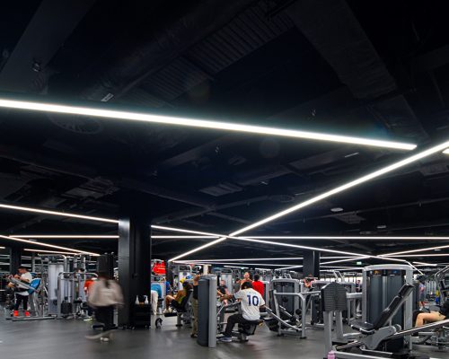 THE_UNIVERSITY_OF_AUCKLAND (2)