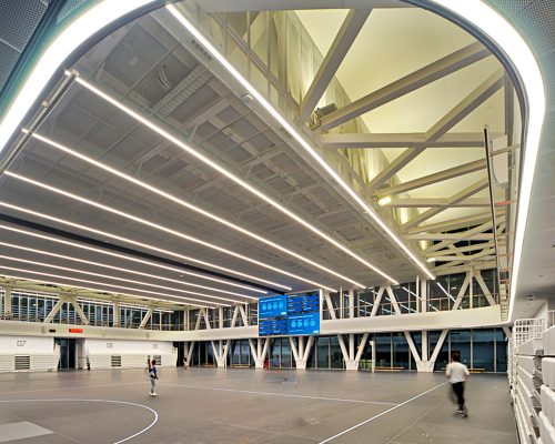 THE_UNIVERSITY_OF_AUCKLAND (4)